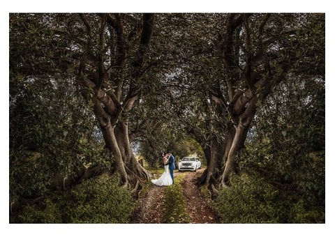 Talented Wedding Photographers – Hire Now! - 4/4