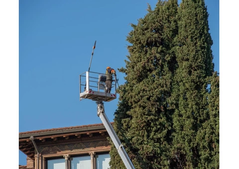 Best Tree Surgery service in Adelaide