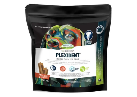 Plexident Dental Chews for Dog | DiscountPetCare