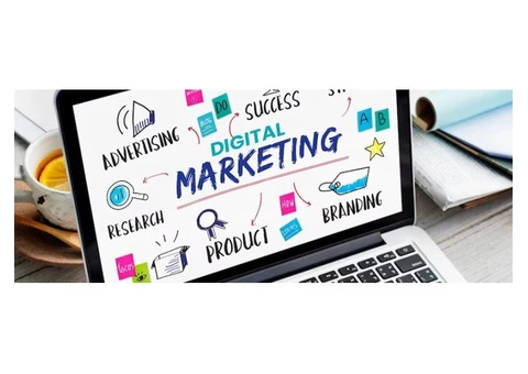 Latest Trends and Insights in Digital Marketing in Australia