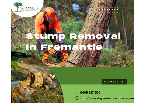 Stump Removal in Fremantle | Shayne's Tree Services