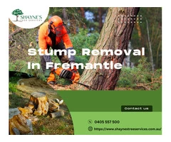 Stump Removal in Fremantle | Shayne's Tree Services
