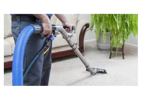 Wizard Cleaning - Your Solution for Professional Carpet Cleaning in Melbourne - 2/2