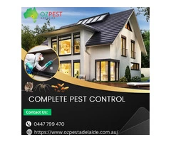 Oz Pest Adelaide: Complete Pest Control Services.
