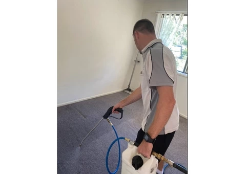 Brightaire Property Services - Your Trusted Carpet Cleaning Experts on the Sunshine Coast!
