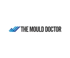 Managing Mould Growth in NSW Rental Properties: Tenant's Guide to Maintenance