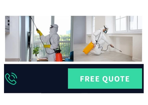 Termite Treatment Gold Coast