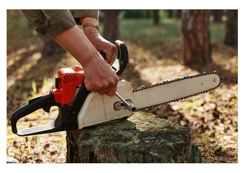 Tree Removal: Western Sydney Experts