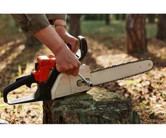 Tree Removal: Western Sydney Experts