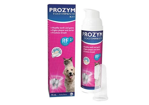 Buy Prozym Dental Toothpaste Kit for Dogs