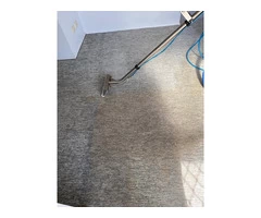 Leading Commercial Carpet Cleaning Company in Wynnum