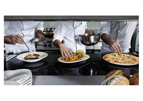 Effective Pest Control for Food Safety and a Pristine Kitchen!
