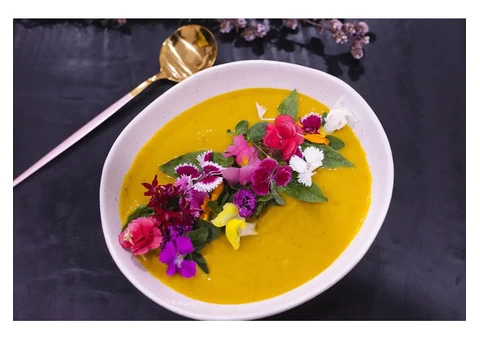 Soup with Pumpkin and Leek