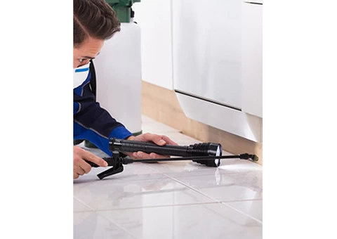 Get Rid of Pests with King Termite Pest Control in Sydney - 1/4