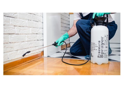 Get Rid of Pests with King Termite Pest Control in Sydney - 4/4