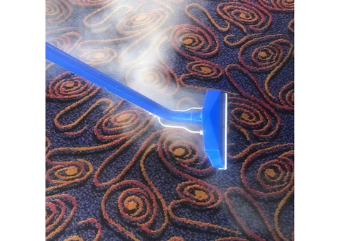 Get the best Carpet Cleaning in CENTRAL COAST right here!