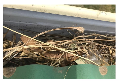 Roofing and Guttering: How Worse Can it Get?