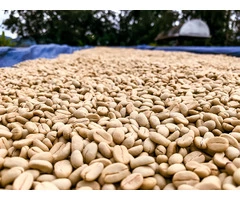 The Best Coffee Beans in Melbourne | Gigante Techniflavour