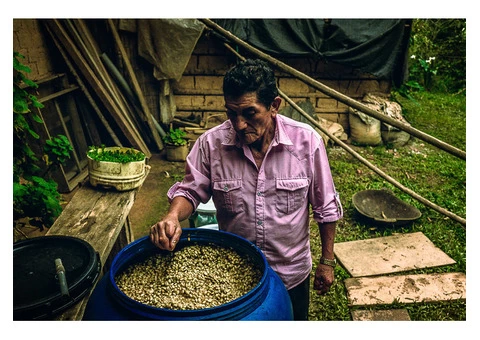 The Best Coffee Beans in Melbourne | Gigante Techniflavour - 2/2