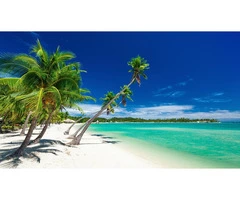Explore Fiji Packages With Top Islands