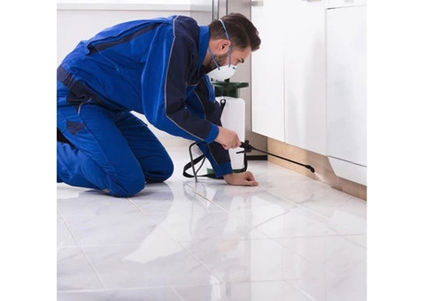 Looking for Pest Control in CENTRAL COAST? Your search ends here!