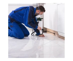 Looking for Pest Control in CENTRAL COAST? Your search ends here!