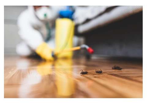 Best Pest Control Services in Melbourne