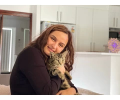 Best Veterinary Clinic in South Lake - Expert Care for Your Beloved Pets