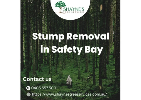 Efficient Stump Removal in Safety Bay Shayne's Tree Services to the Rescue