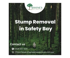 Efficient Stump Removal in Safety Bay Shayne's Tree Services to the Rescue