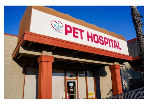 Rapid and Reliable Pet Care When It Matters Most!