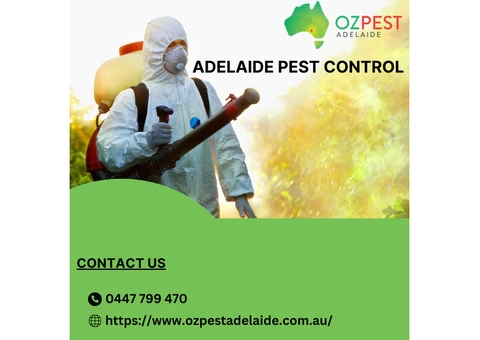 Effective Adelaide Pest Control Solutions: Oz Pest Adelaide