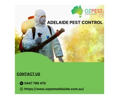 Effective Adelaide Pest Control Solutions: Oz Pest Adelaide