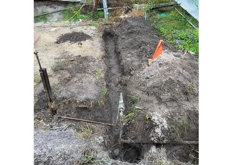 Drain Pipe Tree Root Removal Paddington