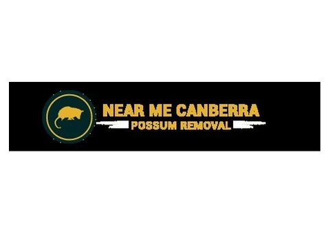 Affordable Possum Removal in Canberra