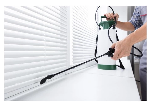 Best Pest Control Service in Geelong