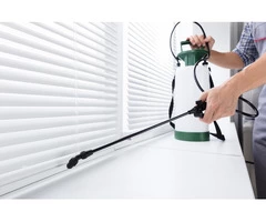 Best Pest Control Service in Geelong