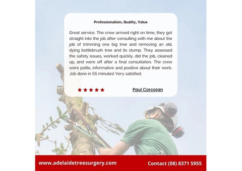Best Tree Surgery in Adelaide