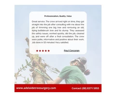 Best Tree Surgery in Adelaide