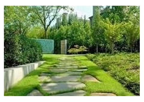 Create a Marvelous Outdoor Space with Expert Landscaping Services - 2/2