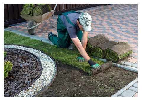 Small Space Landscaping: Maximizing the Potential of Tiny Yards