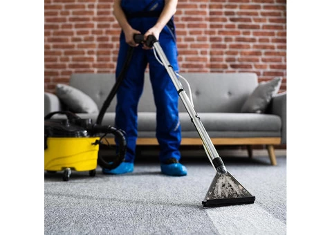Novacastrian Carpet Cleaning and Pest Control- Your reliable choice for Carpet Cleaning in CESSNOCK