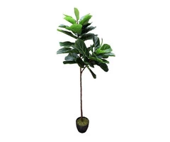 Experience Nature's Perfection With Artificial Plants Brisbane