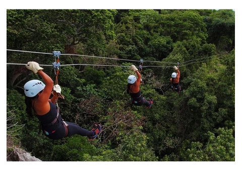 Take the latest ride with breathtaking views at Zipline Fiji