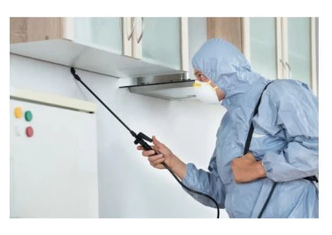 Pest Control Hope Island