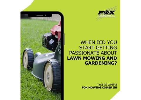 Lawn Renovation Brisbane