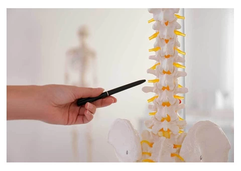 Best chiropractor in Adelaide