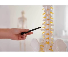 Best chiropractor in Adelaide