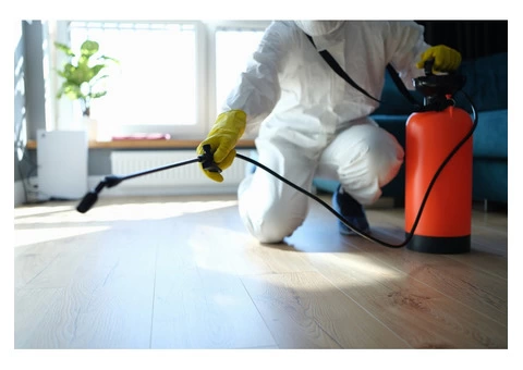 Your One Stop Cleaning and Pest Control Solution in Clyde