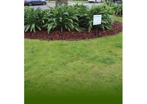Local Garden Services Melbourne | Gardening And Maintenance Services | Bayside Gardening
